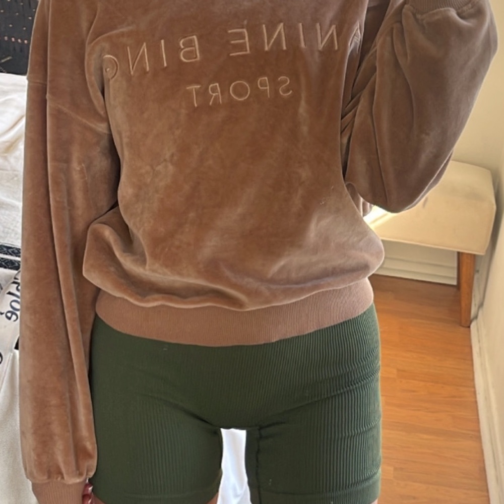 Anine Bing Velvet Brown Sweatshirt